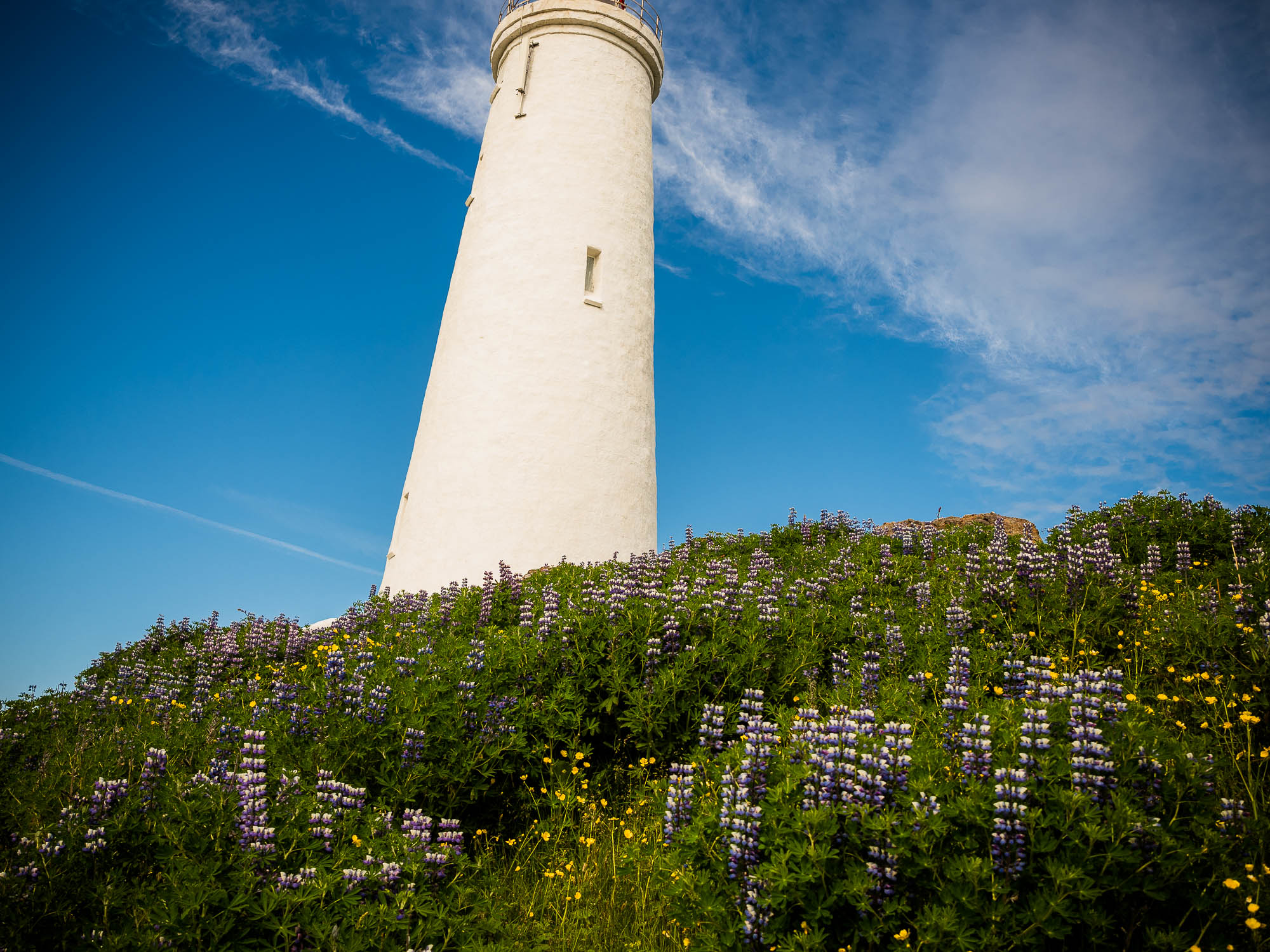 Export x3 P1011105 Fotoshooting Island 2020 Anastasia & Benedikt